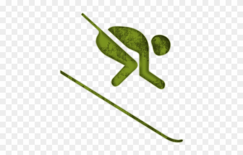 Downhill Skiing Icon 045214 &187 Icons Etc - Alpine Skiing #264002