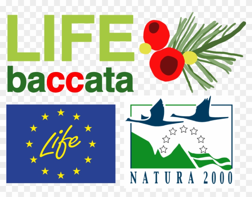 Neemo's Annual Monitoring Visit To @lifebaccata Project - Graphic Design #1732761