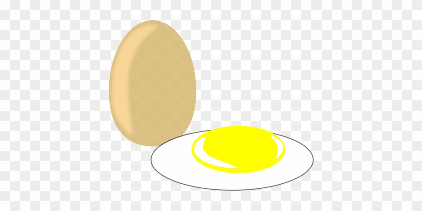 Egg, Food, Fired Egg, Nutrition - Circle #1732767