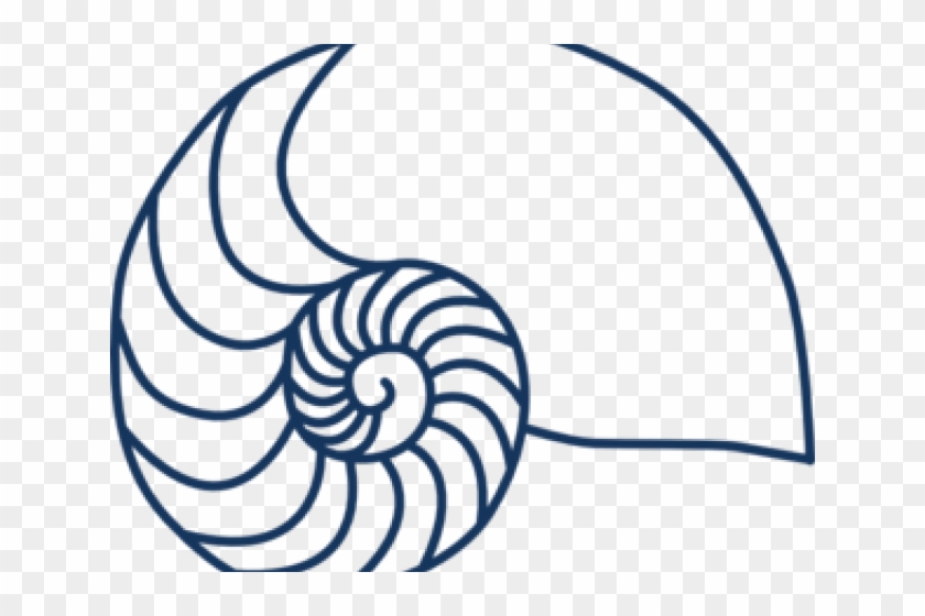 Shell Clipart Nautilus Shell - Amelia Island Chamber Music Festival Logo #1732945
