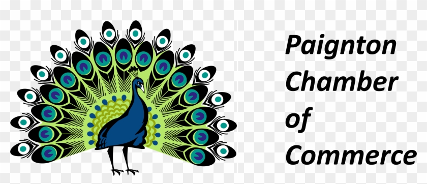 Paignton Business People Focussed On The Regeneration - Peacock Png #1733164