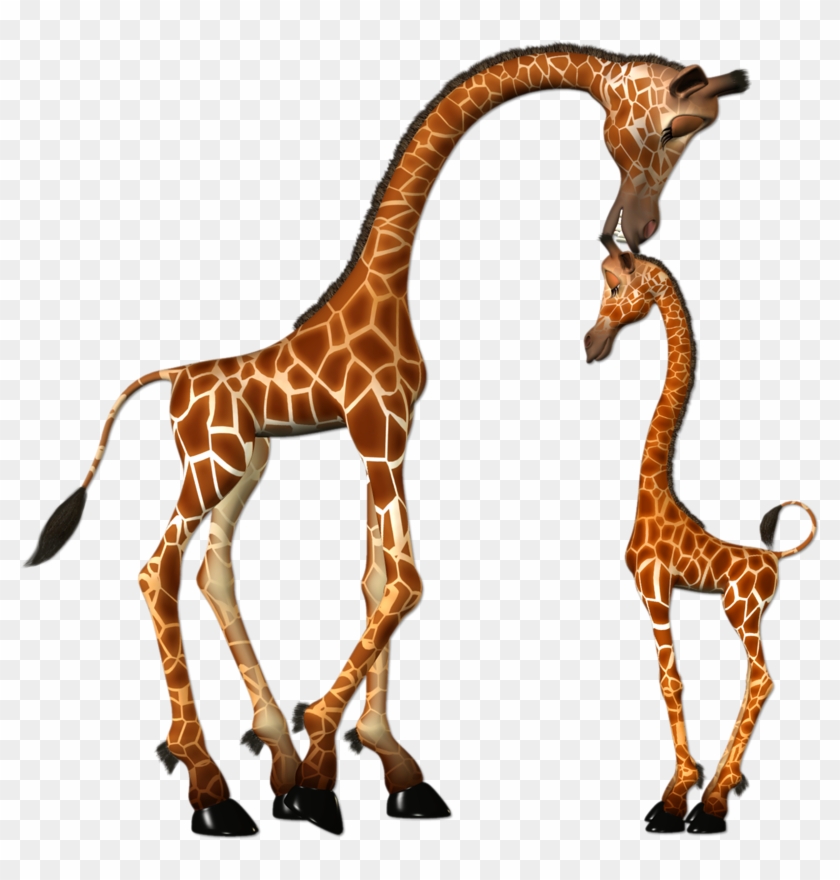 Giraffe Clipart Tall Giraffe - Mother And Baby Giraffe Clipart Png #1733349