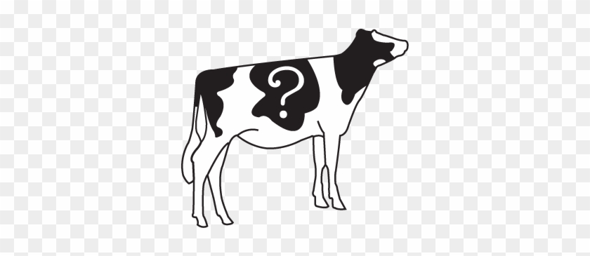 Dairy Cow #1734017