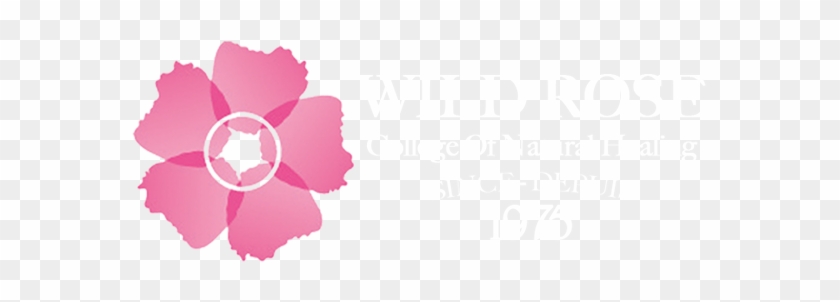 Wild Rose Leaves Transparent Clipart #1734440