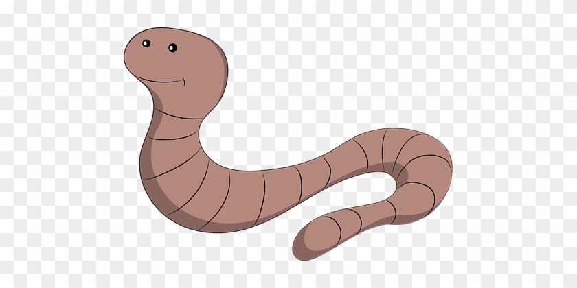 Earth Worm, Earthworm, Earth, Maggot - Waxworm #1734442