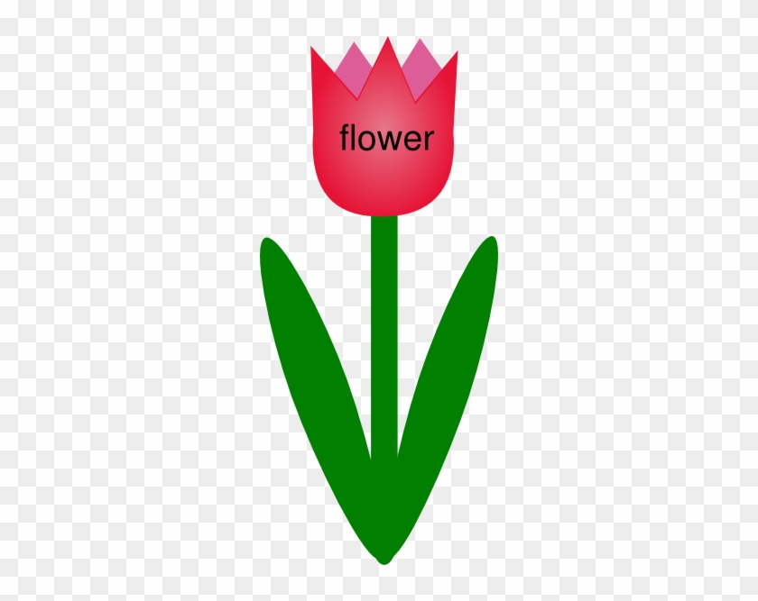Flower Clip Art At Clker Com Vector Clip Art Online - Tulip Clip Art #1734452