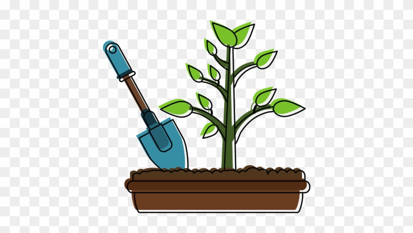550 X 550 2 - Houseplant #1734460