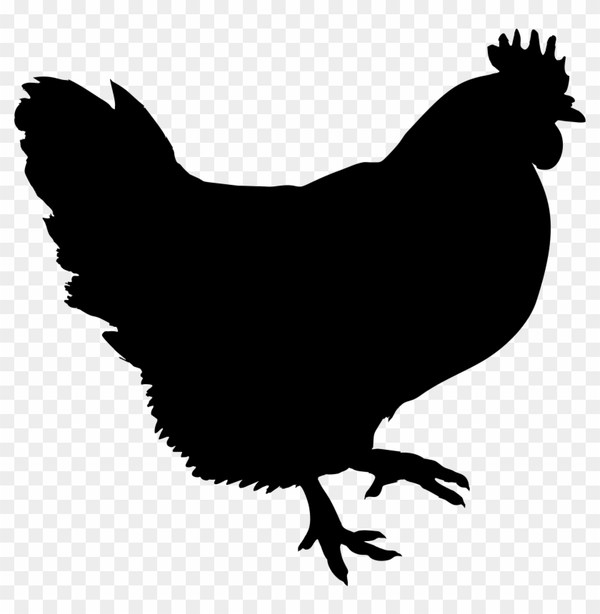 Big Image - Black Chicken Clip Art #1734482