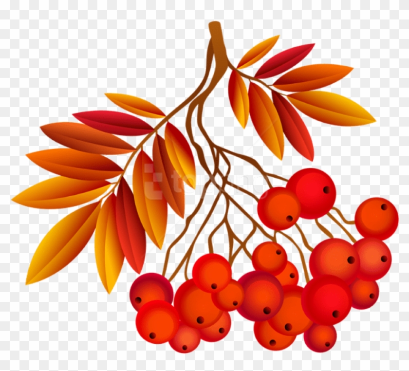 Free Png Download Autumn Leaf Deco Plant Clipart Png - Autumn Leaf Animation #1734580