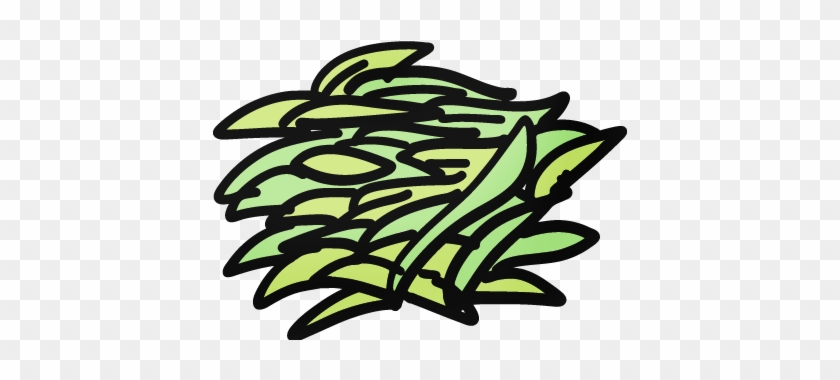 Shredded Cabbage - Shredded Cabbage #1734874