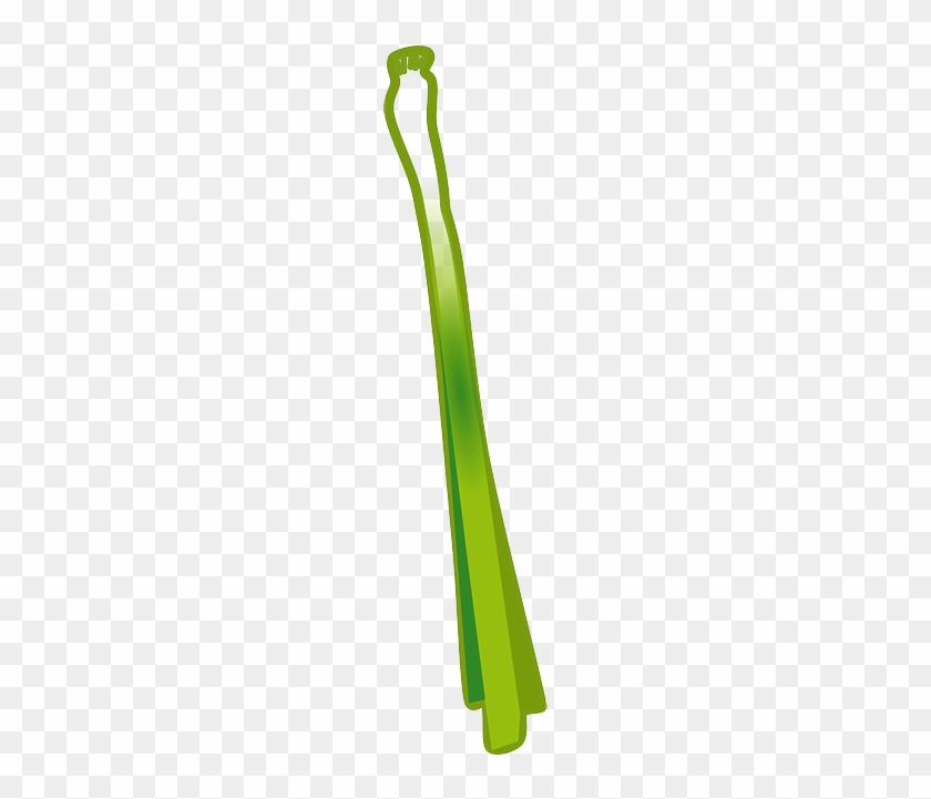 Spring Onion Vector Png #1734875