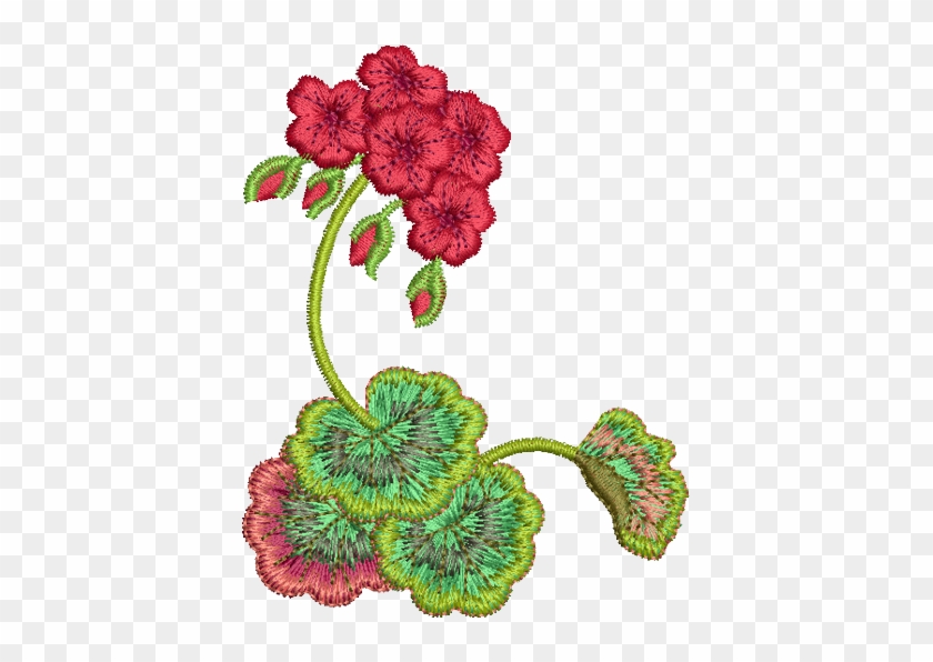Geranium Cnr - Carnation #1734931