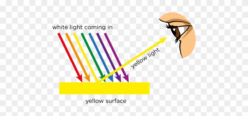 Natural Sciences Grade Light - Colour Of Transparent Objects #1735040