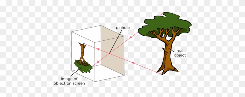 Transparent Translucent And Opaque Objects - Diagram #1735043