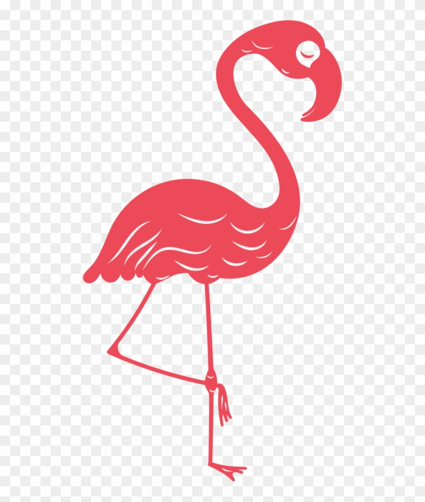 Bungalow35 - Greater Flamingo #1735153