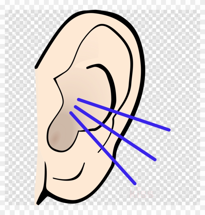 Black And White Ear Clip Art Clipart Hearing Clip Art - Black And White Ear Clip Art Clipart Hearing Clip Art #1735163
