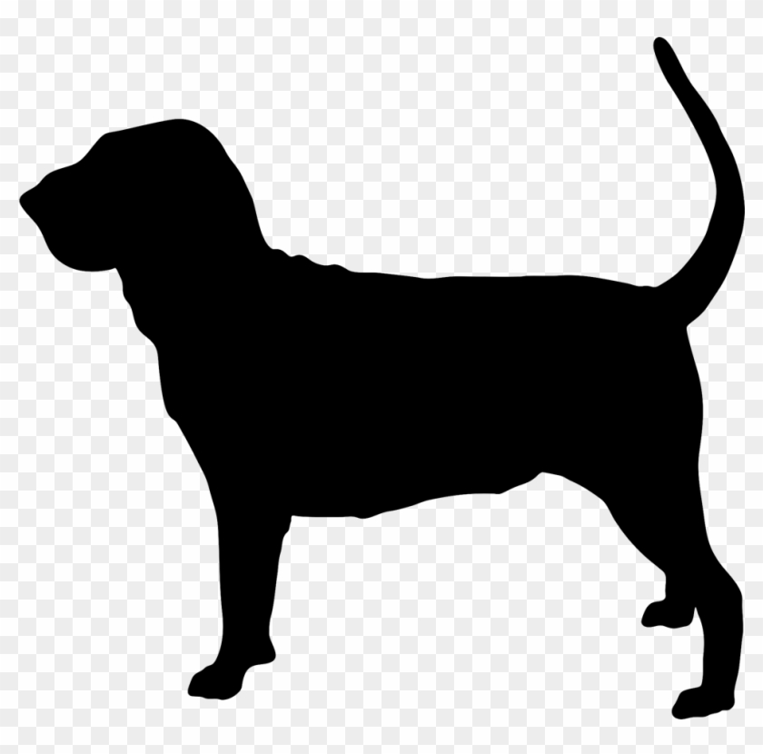 Basset Hound Silhouette Clip Art - Bloodhound Silhouette Png #1735177