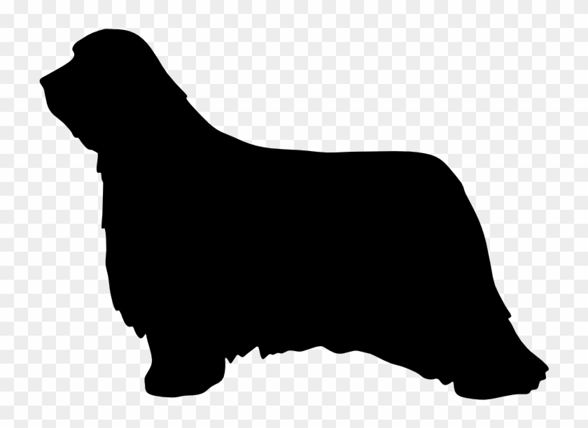 Graphic Transparent Download Chihuahua Puppy Clip Art - Long Haired Dachshund Clipart #1735179