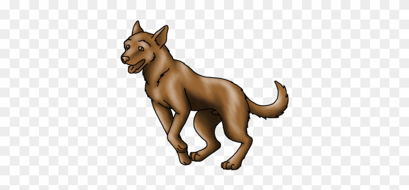 Australian Cattle Dog - Wolfdog #1735184