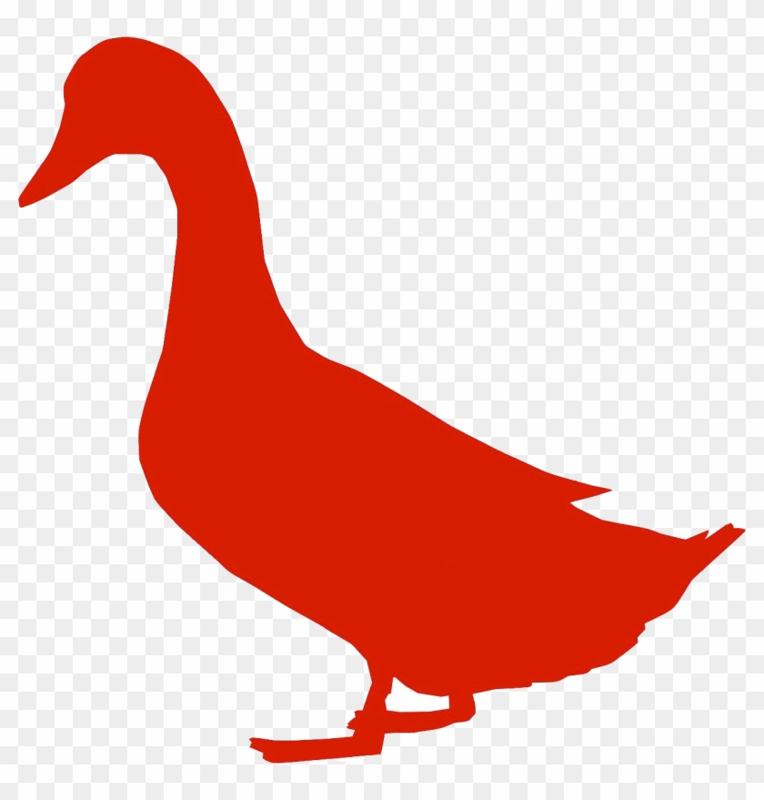 Barnard Inn Restaurant - Duck #1735358