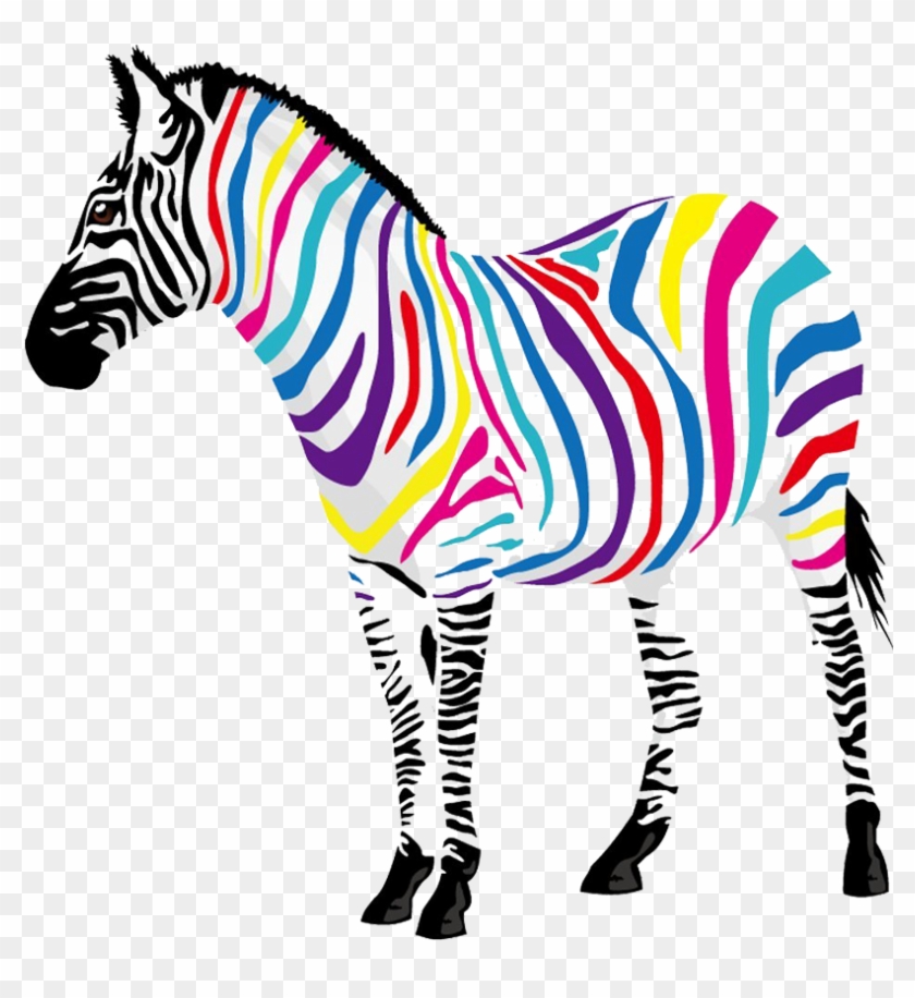 Zebra Colors #1735823