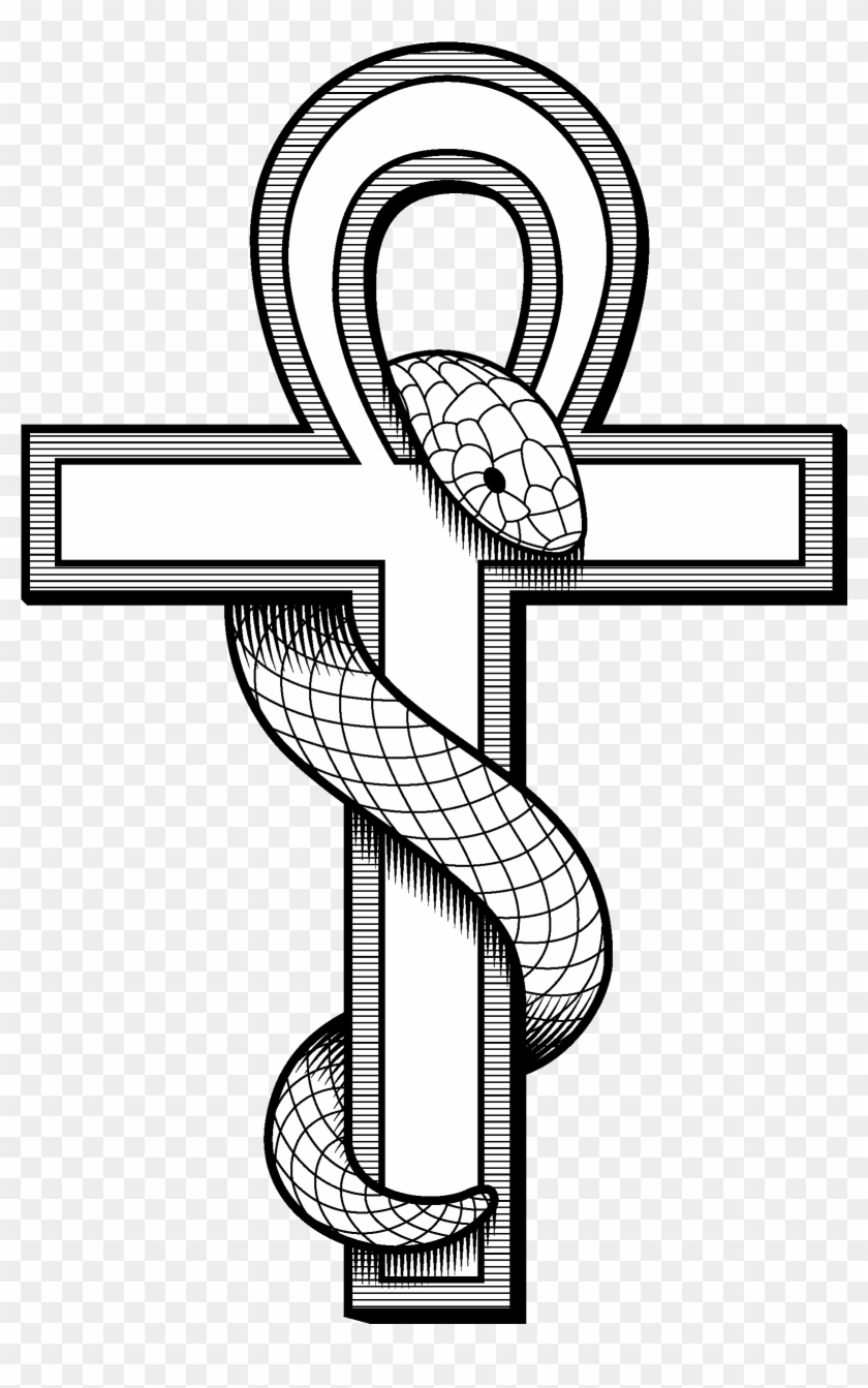 Contact Details - Ankh Snake #1735914