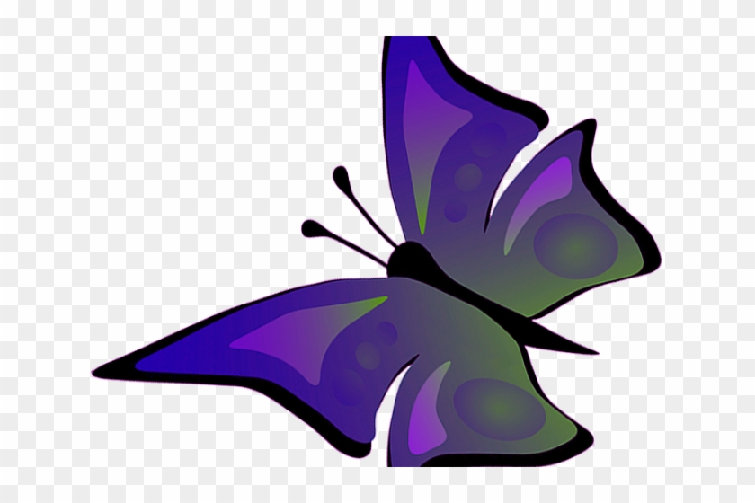 Morning Glory Clipart Realistic - Butterfly Images Drawing With Colour #1736028