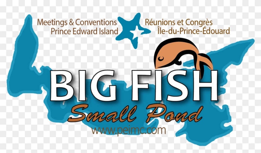 Big Fish Logo - Big Fish Logo #1736140