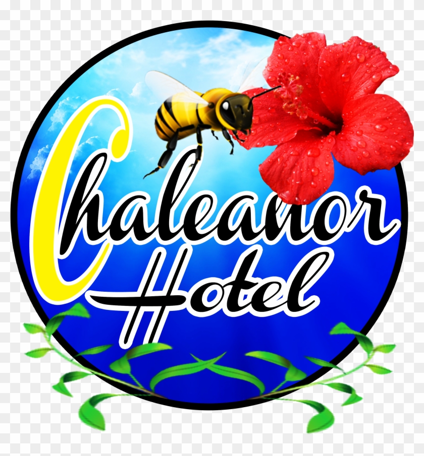 Chaleanor Hotel - Membrane-winged Insect #1736261