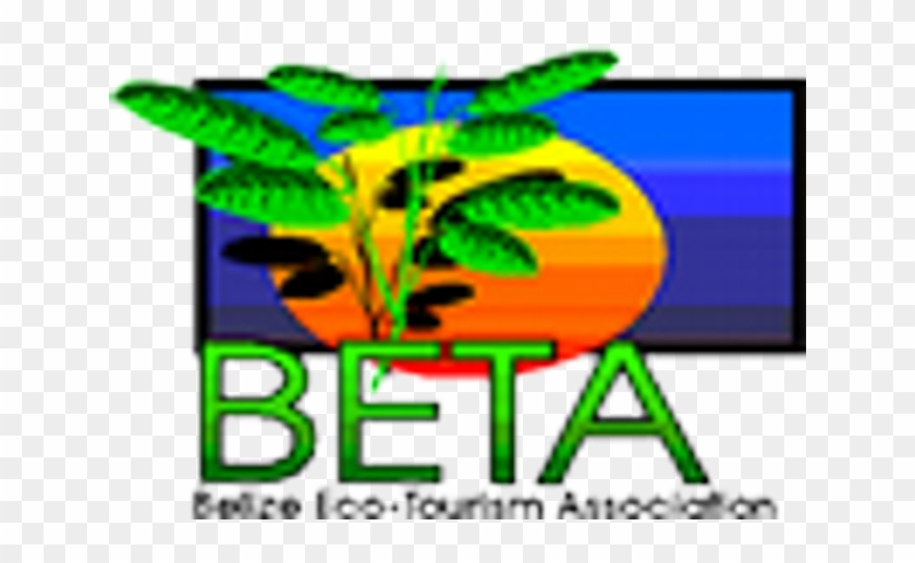 Global Issues - Belize Eco Tourism Association #1736281