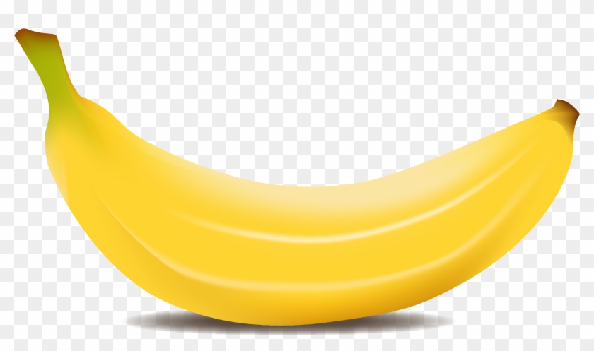 Related Searches - Banana Png #1736288