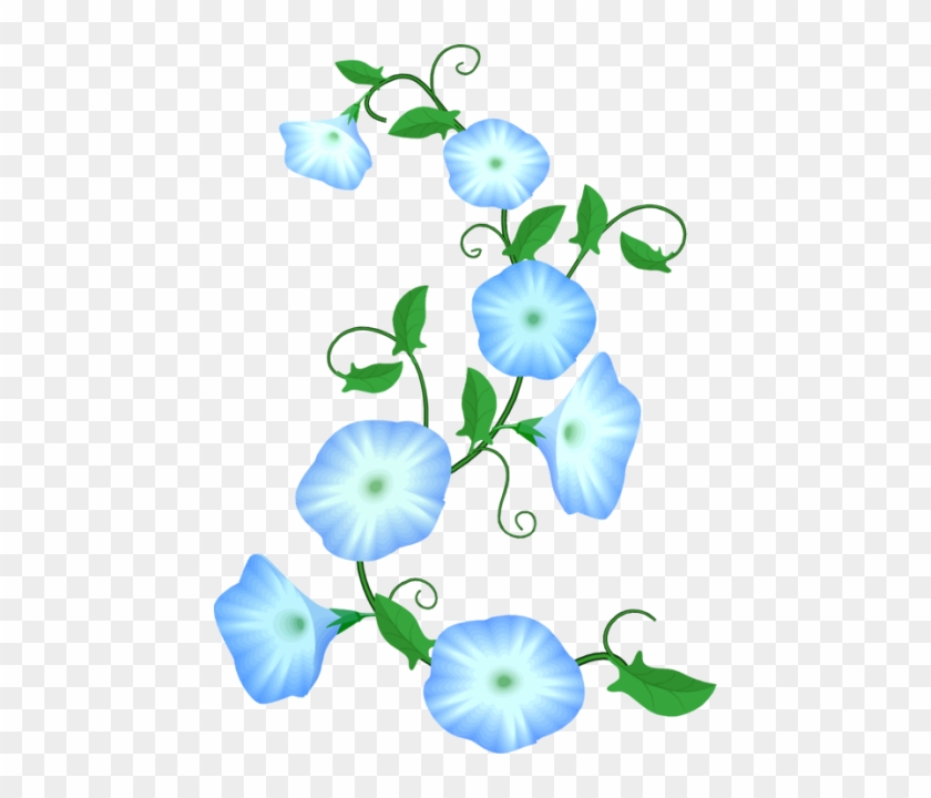 Flower Flowers Morningglory Decoration Border Terrieas - Morning Glory Clip Art #1736485