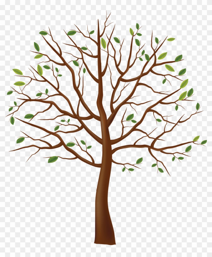 Welcome To The Family - Tree Drawing Transparent Background #1736525