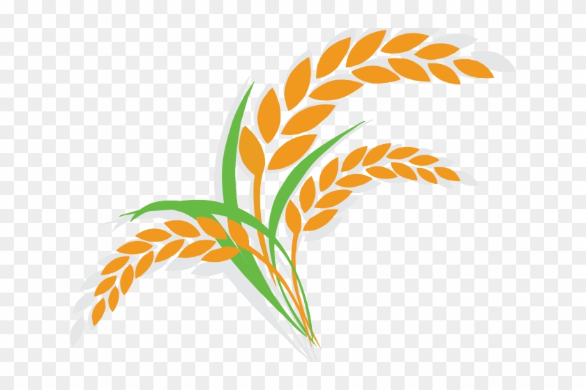 Rice Clipart Cereal Plant - Cartoon Rice Plant #1736809
