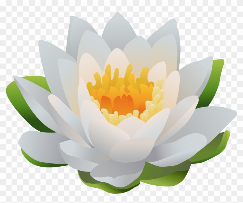 Water Lily Png Clip Art Image - Water Lily Png Clip Art Image #1737062
