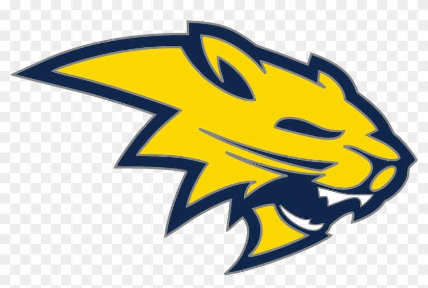 Banner Free Alumni Neuqua Valley Family Playing - Neuqua Valley High School Logo #1737113