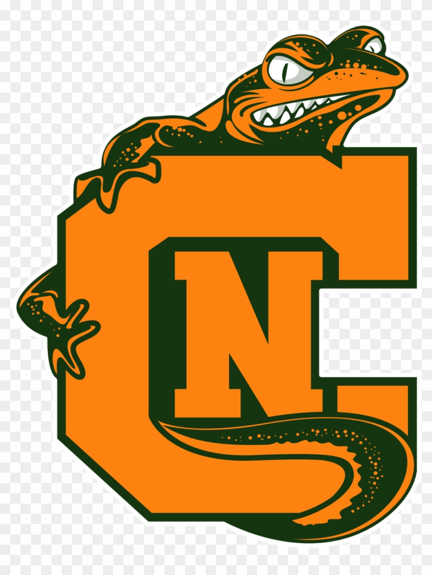 Newts Unveil New Alternate Logo - Newts Unveil New Alternate Logo #1737268