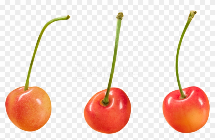 Free Png Download Cherry Clipart Png Photo Png Images - Png Free For Commercial Use #1737289