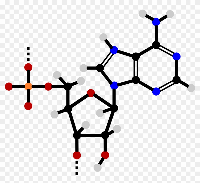 Big Image - Nucleotide Clipart #1737583