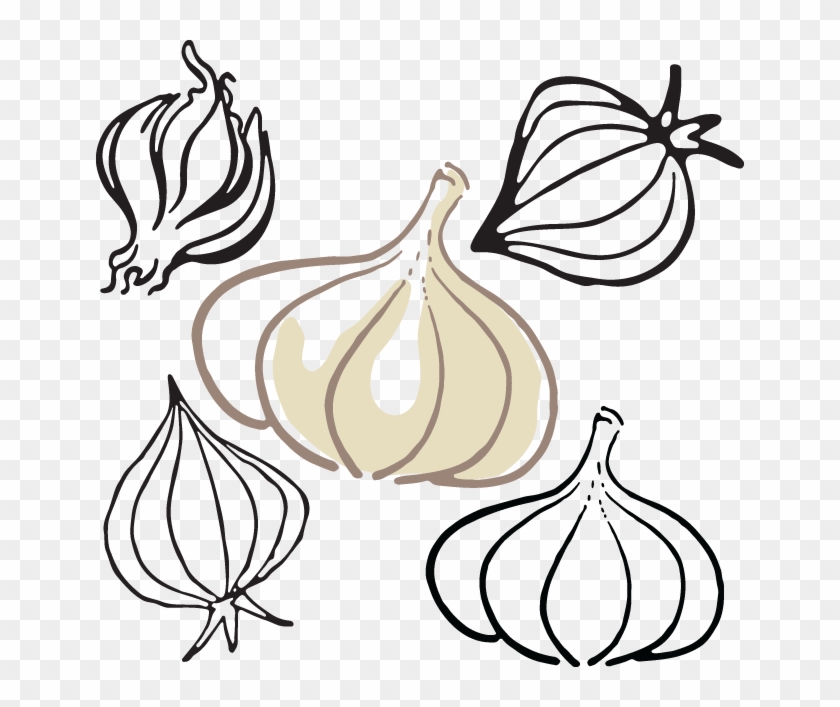 Garlic #1737674