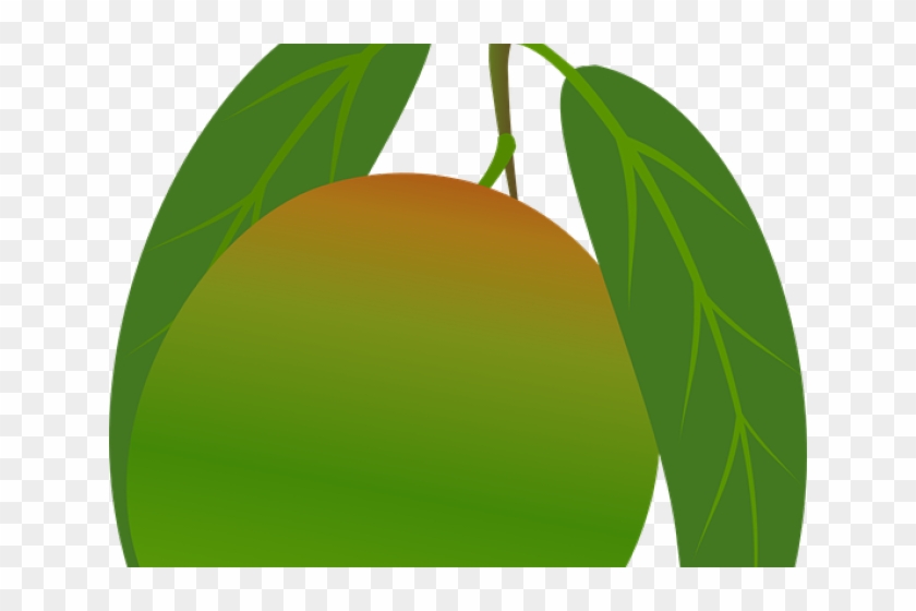 Mango Clipart 10 Mango - Mango Clipart 10 Mango #1737806