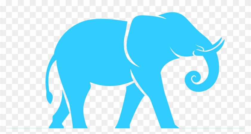 The Elephant - Indian Elephant #1737841