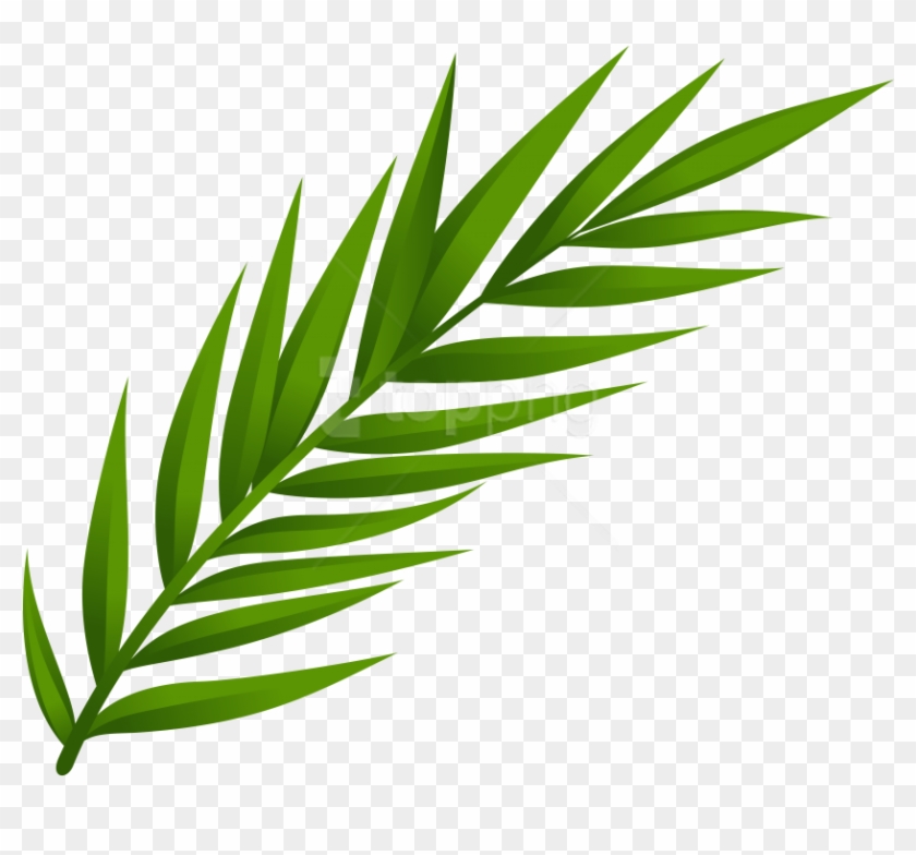 Free Png Download Leaf Clipart Png Photo Png Images - Clipart Leaves #1738011