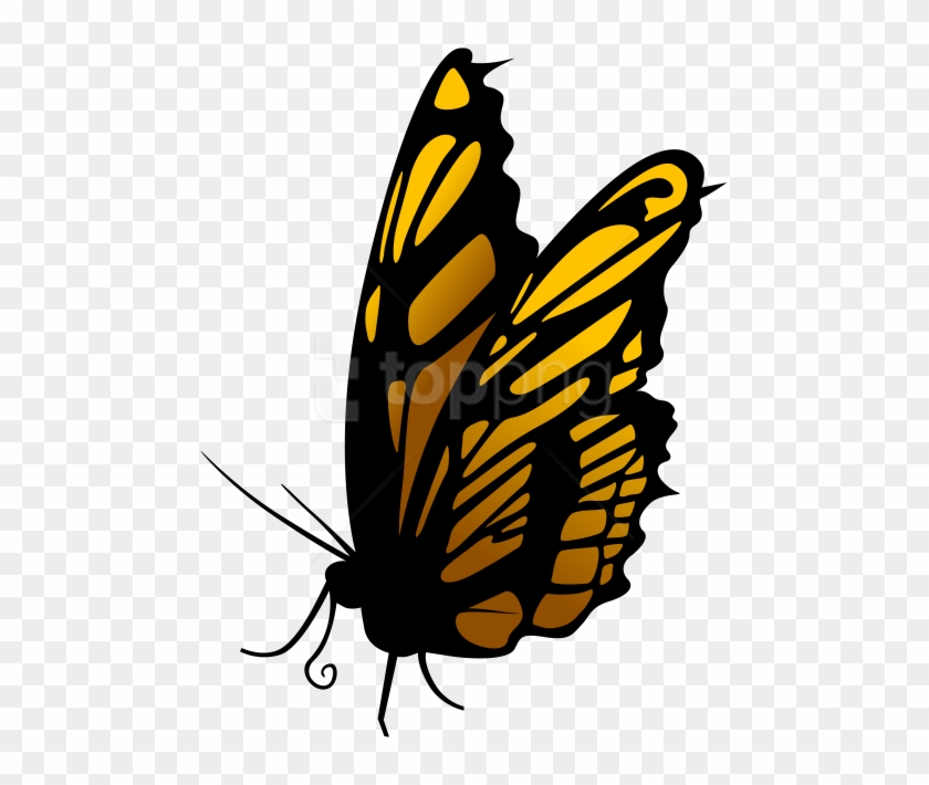 Free Png Download Butterfly Clipart Png Photo Png Images - Free Png Download Butterfly Clipart Png Photo Png Images #1738013