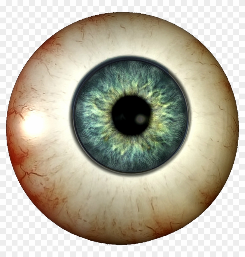 Human Eye Visual Perception Light Homo Sapiens - Глазное Яблоко Png #1738091