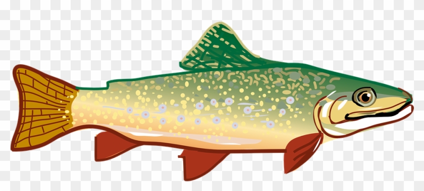 Washington Fishing Lakes - Trout Clipart #1738098