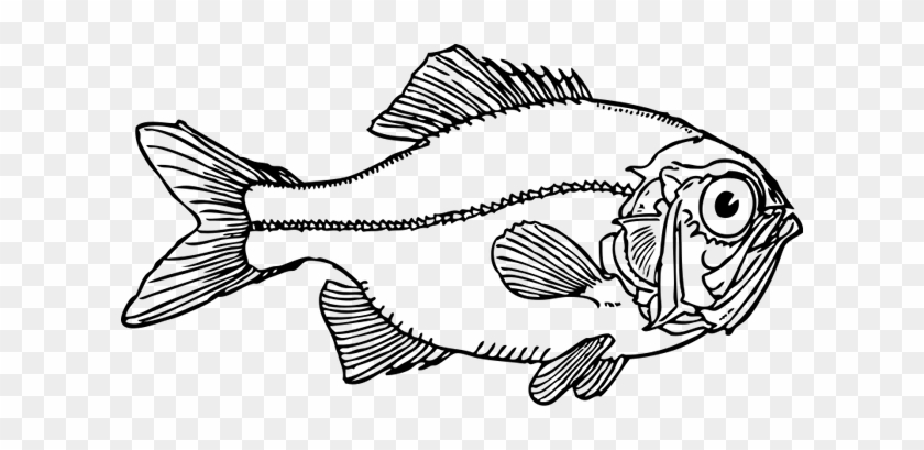 Fish Clip Art Black And White #1738437