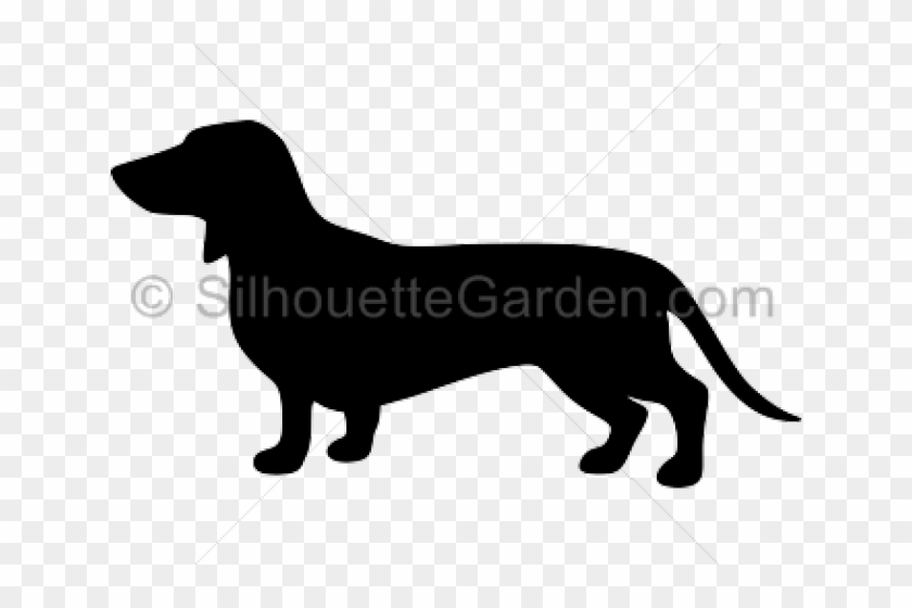 Shadow Clipart Dachshund - Clip Art #1738520