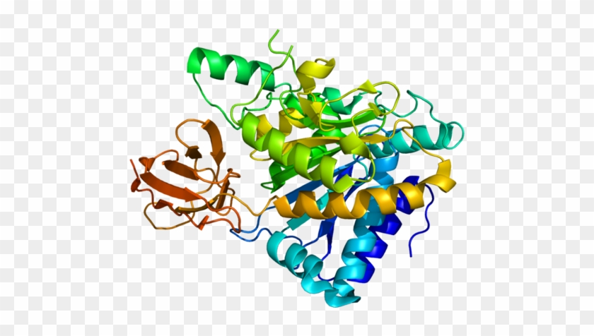 Cpn1 - Pigment Epithelium Derived Factor #1738666