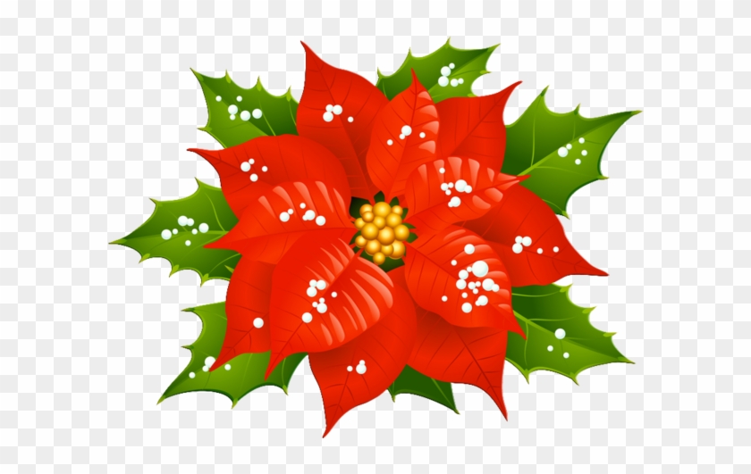 Tubes Noel Divers Christmas And New Year, Christmas - Christmas Flower Donations #1739096